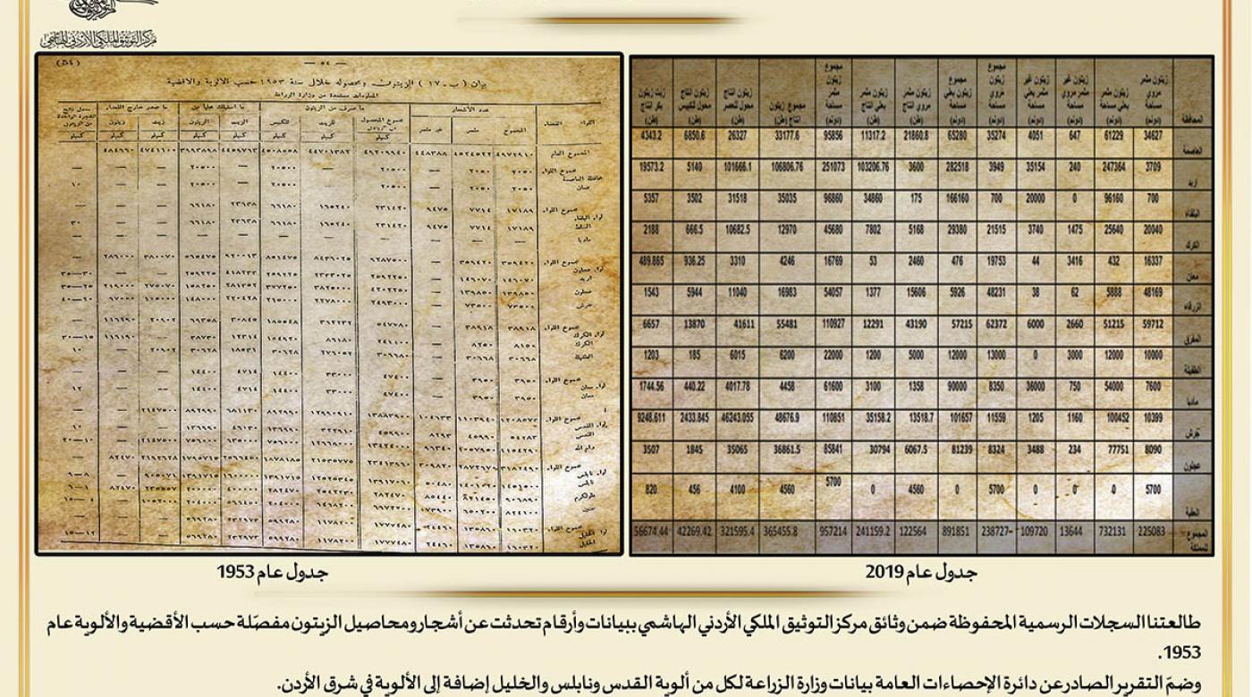 احصائيات زيت الزيتون